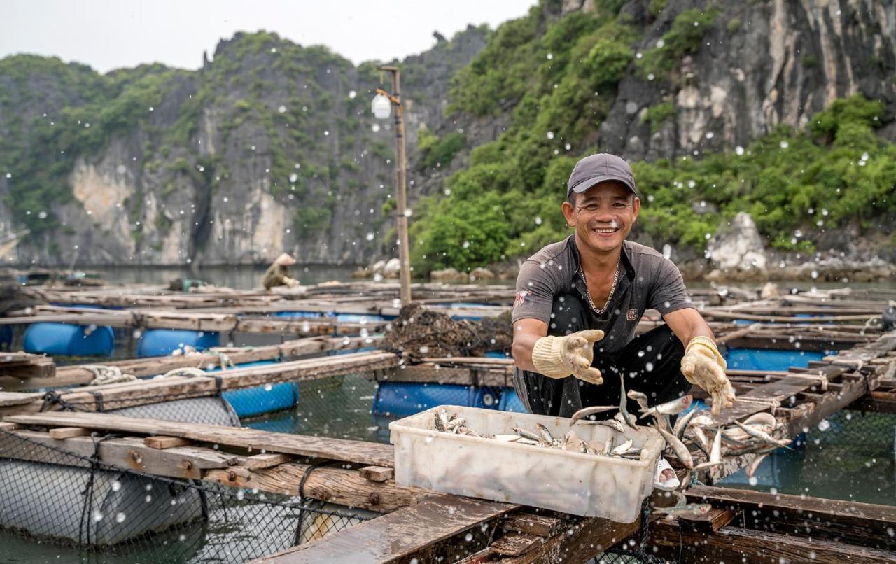 Heritage Line Ylang Cruise - Halong Bay & Lan Ha Bay Ha Long Exterior photo
